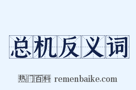 总机反义词是什么意思的图片